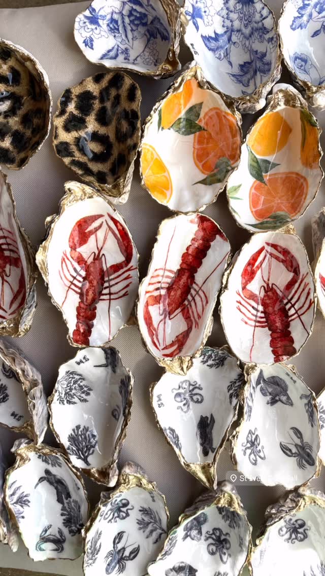 St.Ives Shells