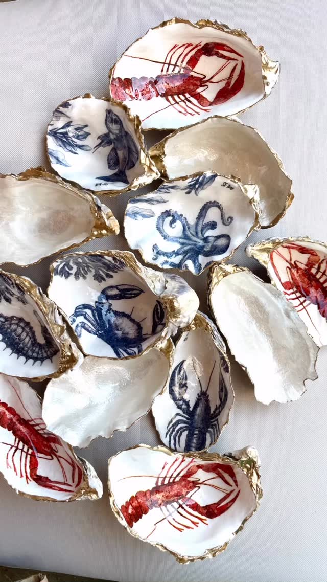 St.Ives Shells