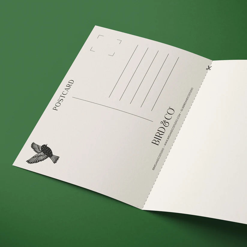 Bird and Co Studio Reuseable Art Card Foxgove